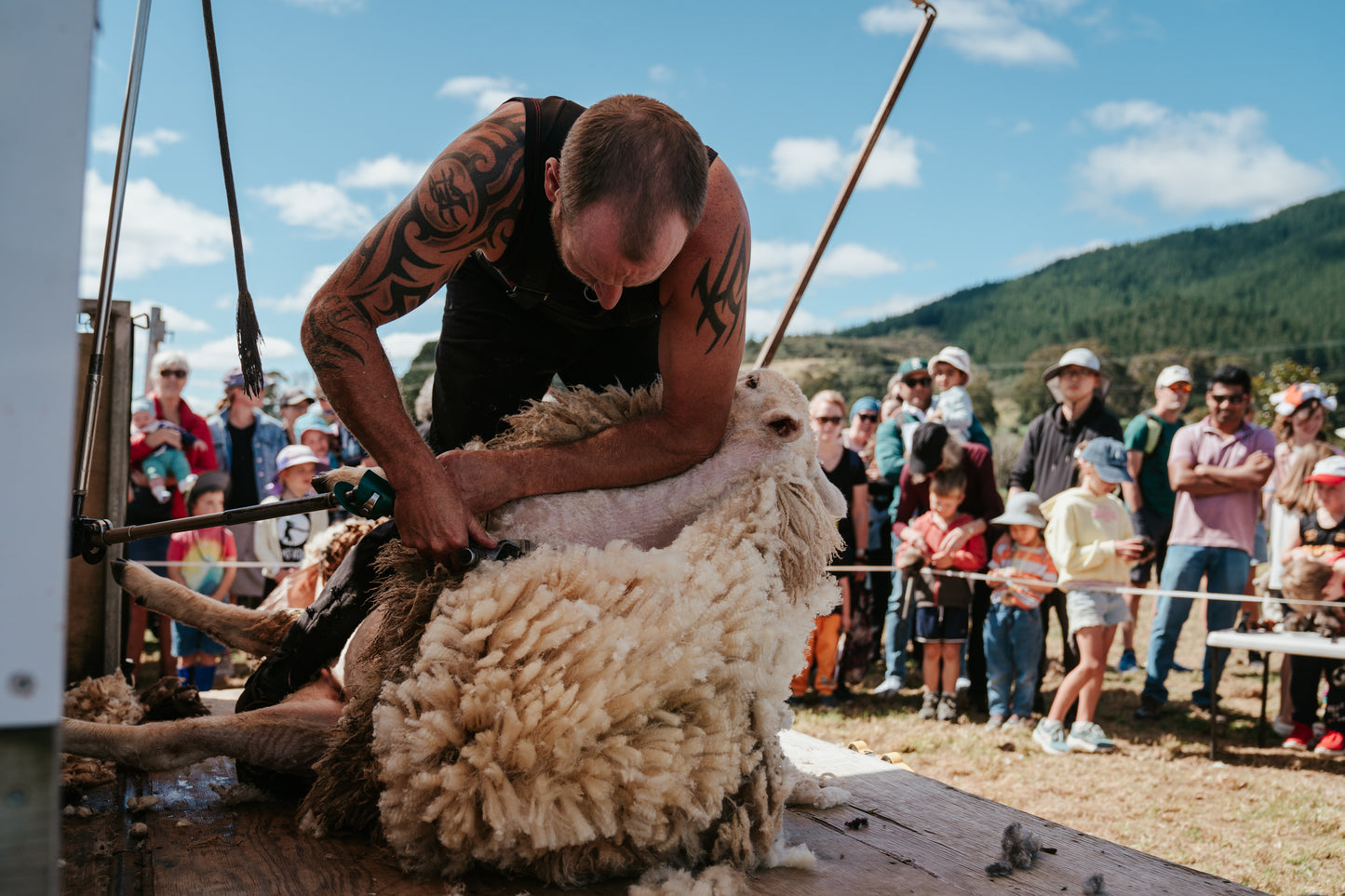 Mangaroa Farms Spring Festival — Sat 31st October | 10:00AM - 3:00PM