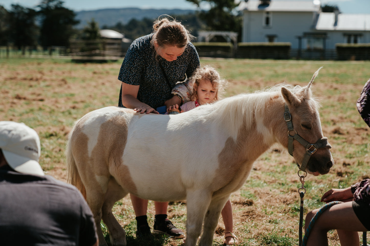 Mangaroa Farms Spring Festival — Sat 31st October | 10:00AM - 3:00PM