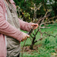 Tree Planting + Grafting Day for Fruit & Forage Loop — Sat 29th August | 9:30AM - 1:30PM