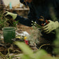 Tree Planting + Grafting Day for Fruit & Forage Loop — Sat 29th August | 9:30AM - 1:30PM