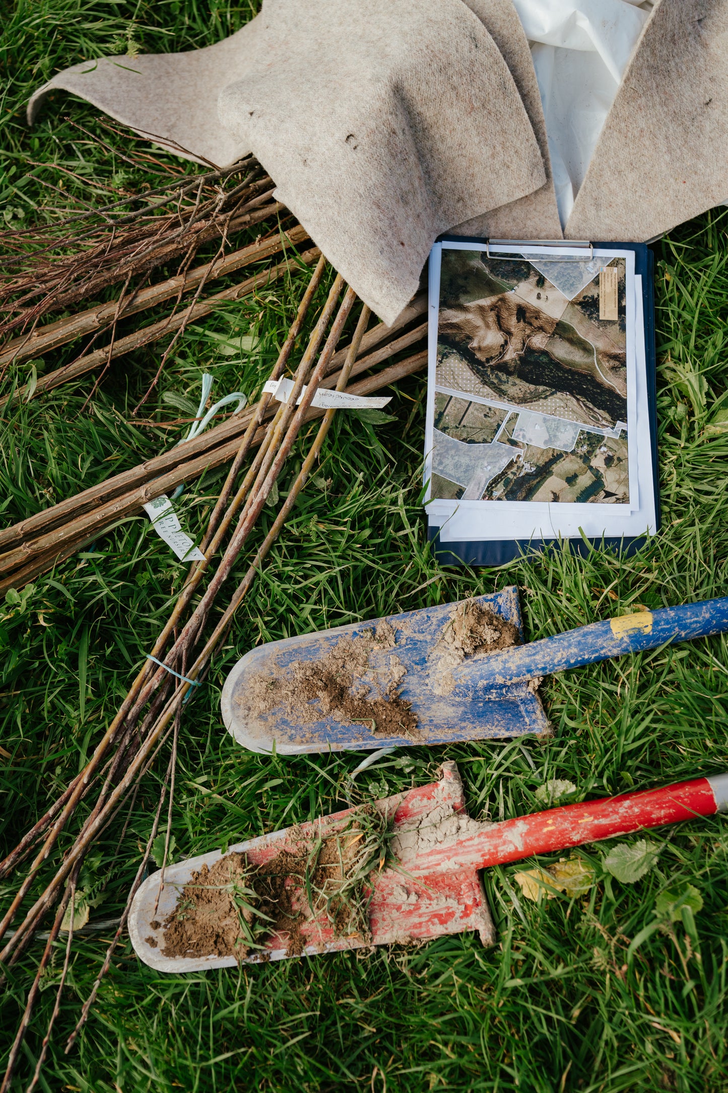 Tree Planting + Grafting Day for Fruit & Forage Loop — Sat 29th August | 9:30AM - 1:30PM