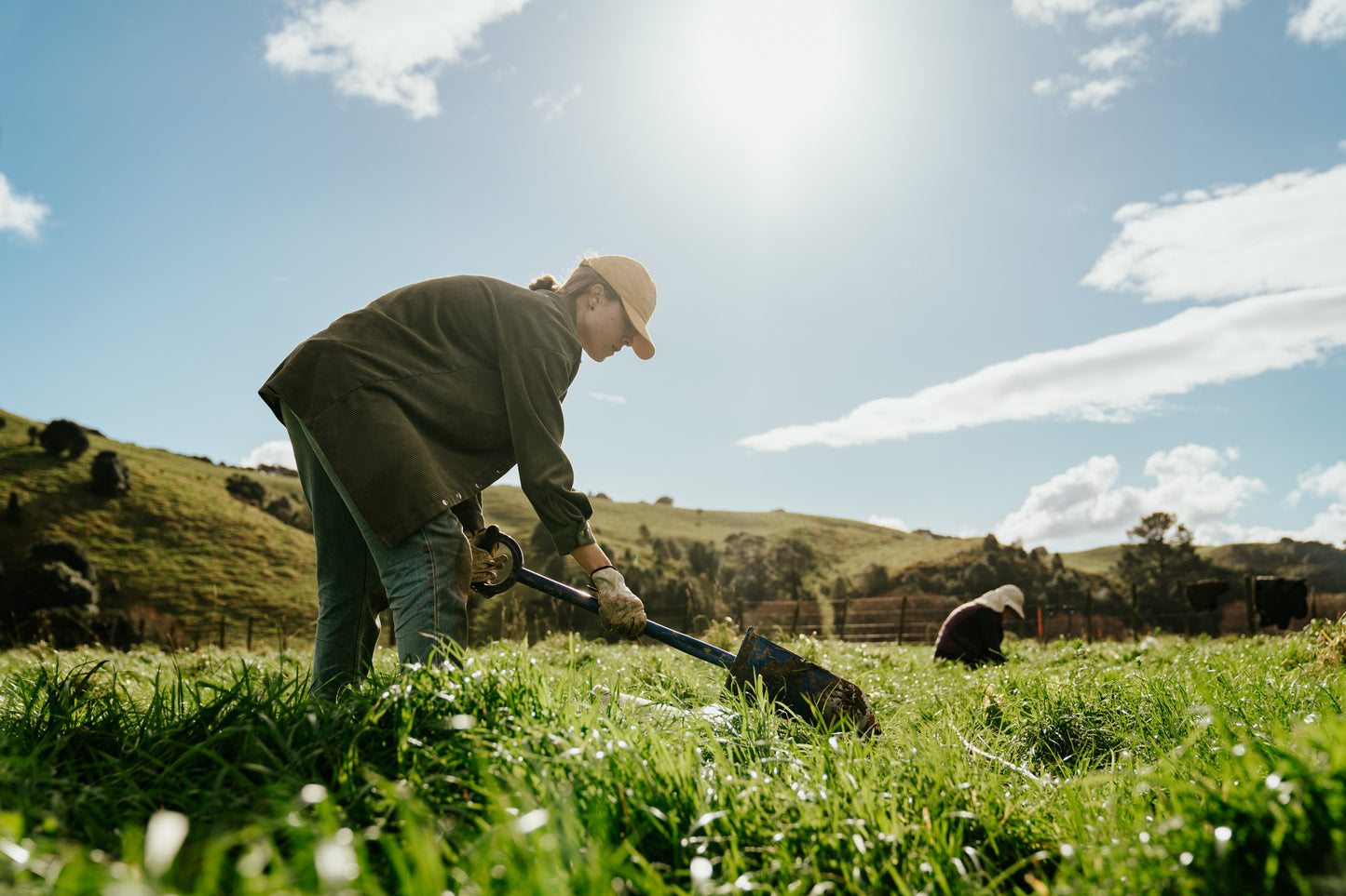 Tree Planting + Grafting Day for Fruit & Forage Loop — Sat 29th August | 9:30AM - 1:30PM