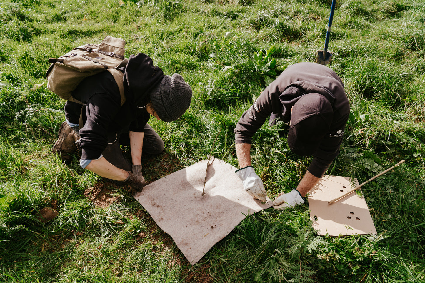 Tree Planting + Grafting Day for Fruit & Forage Loop — Sat 29th August | 9:30AM - 1:30PM