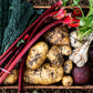 Pick Your Own Veges — Sat 3rd October | 9:00AM - 11:00AM