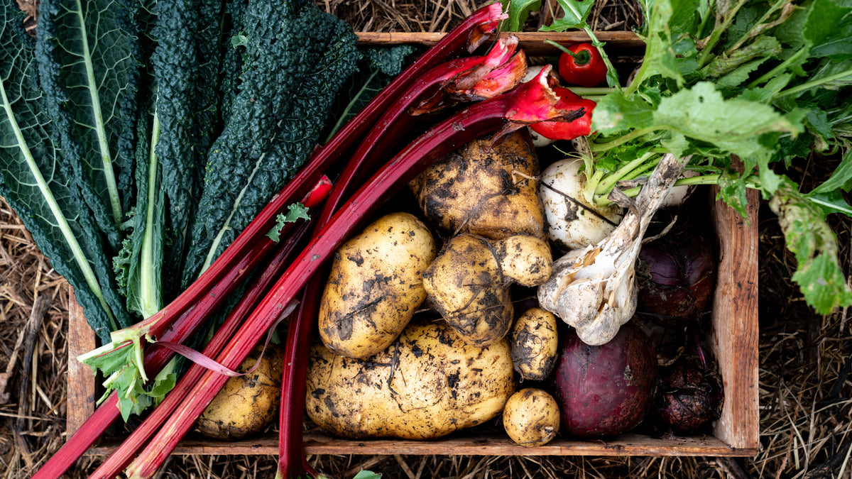 Pick Your Own Veges — Sat 3rd October | 9:00AM - 11:00AM