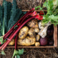 Pick Your Own Veges — Sat 2nd May | 9:00AM - 11:00AM