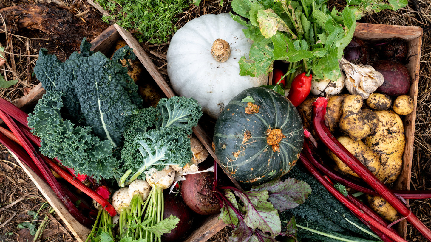 Pick Your Own Veges — Sat 2nd May | 9:00AM - 11:00AM