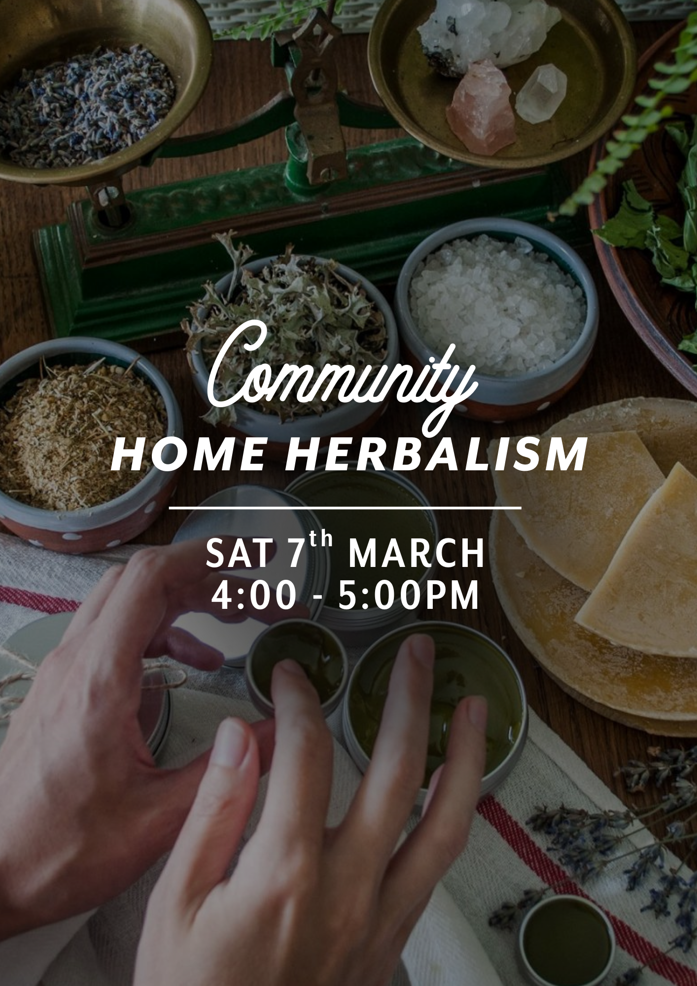 Community Home Herbalism — Sat 7th March | 11:30AM - 2:00PM