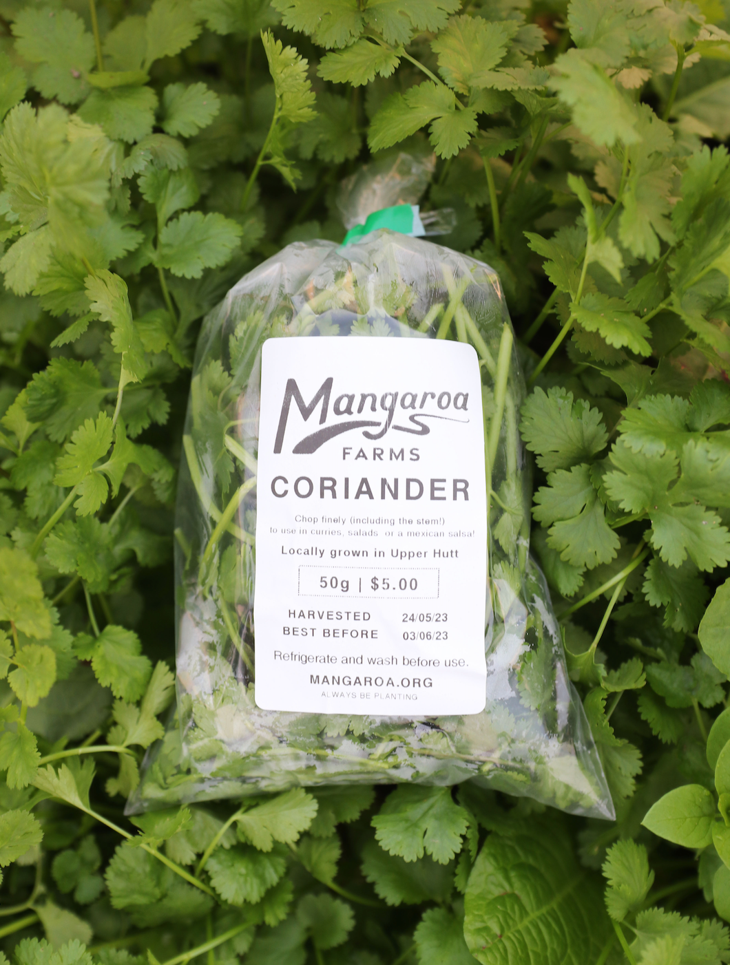 Coriander 50g