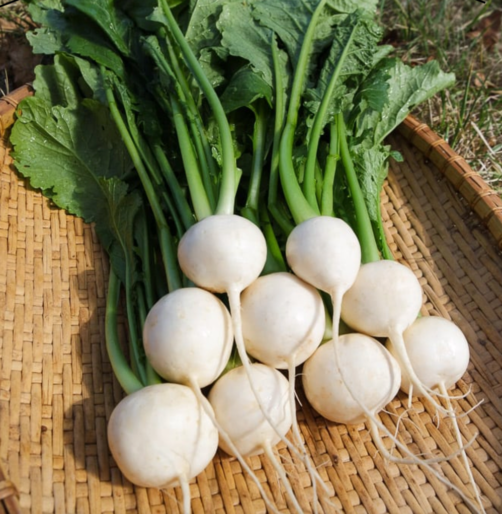 Mangaroa Farms Turnips - bunch