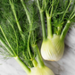 Fennel Mangaroa Farms