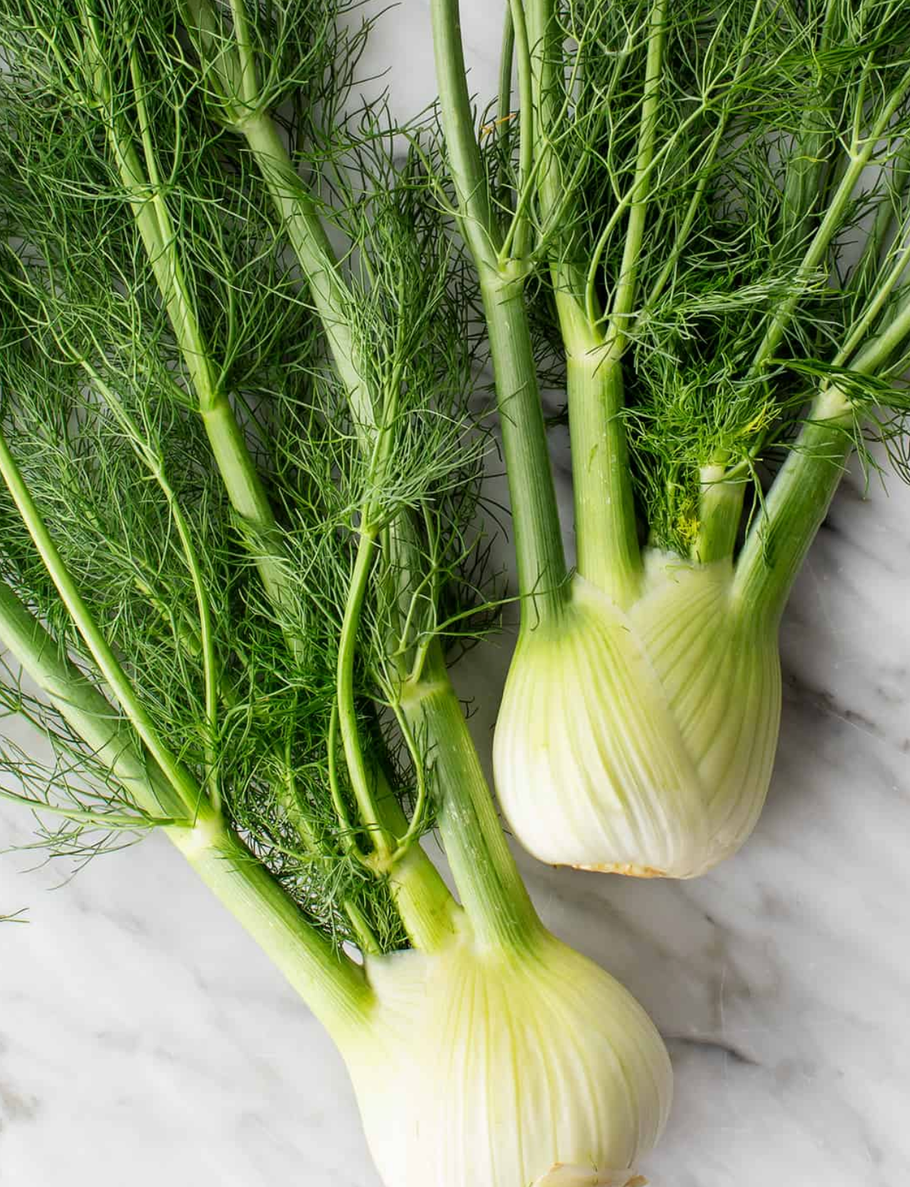 Fennel Mangaroa Farms