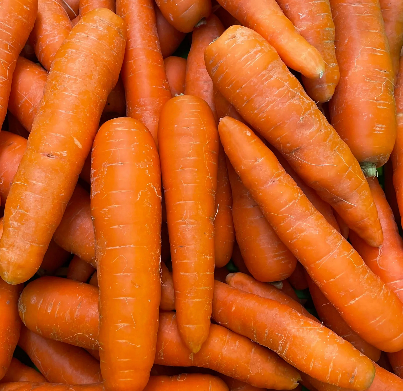 Carrots