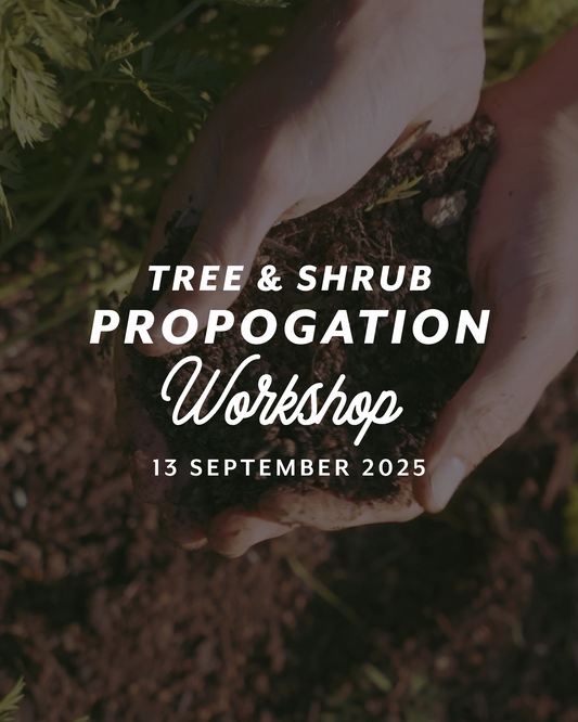 Tree and Shrub Propagation Workshop — Sat 13th September | 10AM - 1PM