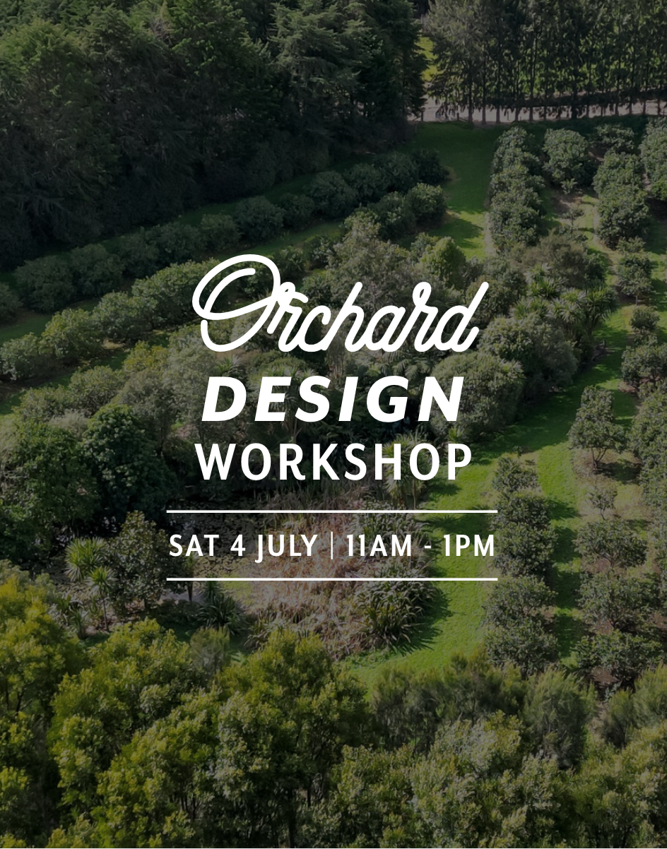 Orchard Design — Sat 4th July | 11:00AM - 1:00PM