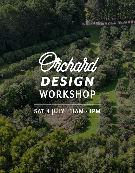 Orchard Design — Sat 4th July | 11:00AM - 1:00PM