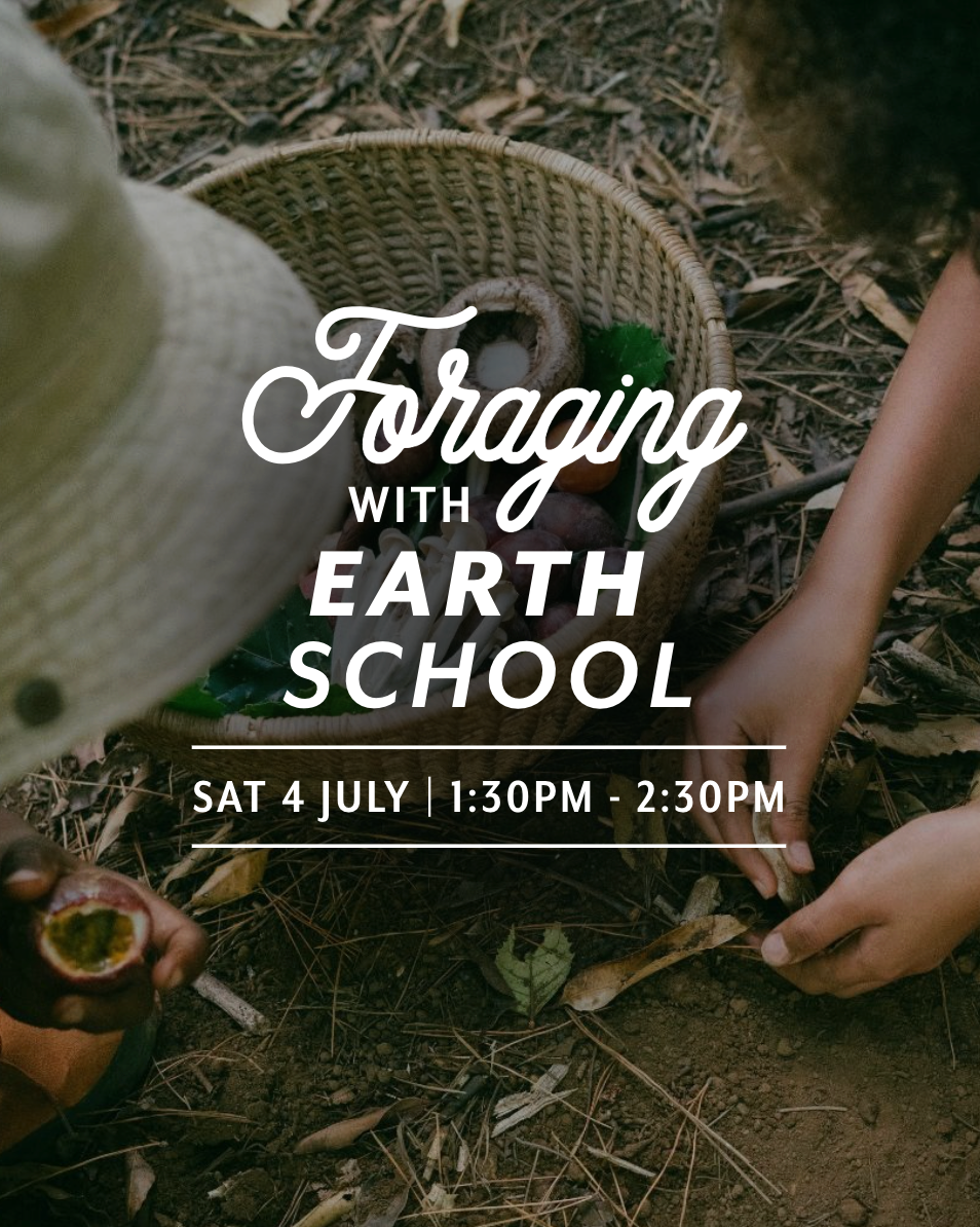 Foraging with Earth School Aotearoa | Roots — Sat 4th July | 1:30PM - 2:30PM