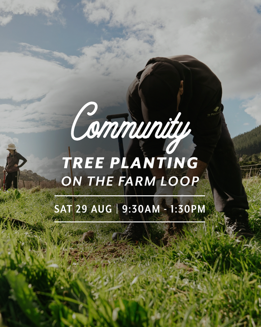 Community Tree Planting on the Farm Loop — Sat 29th August | 9:30AM - 1:30PM