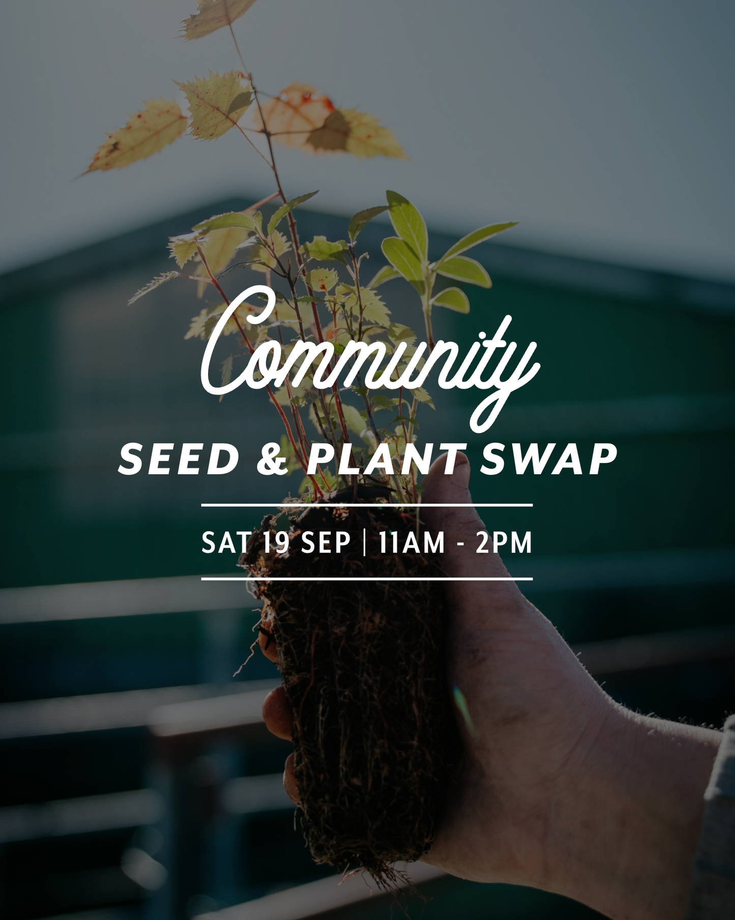 Community Seed & Plant Swap — Sat 19th September | 11:00AM - 2:00PM