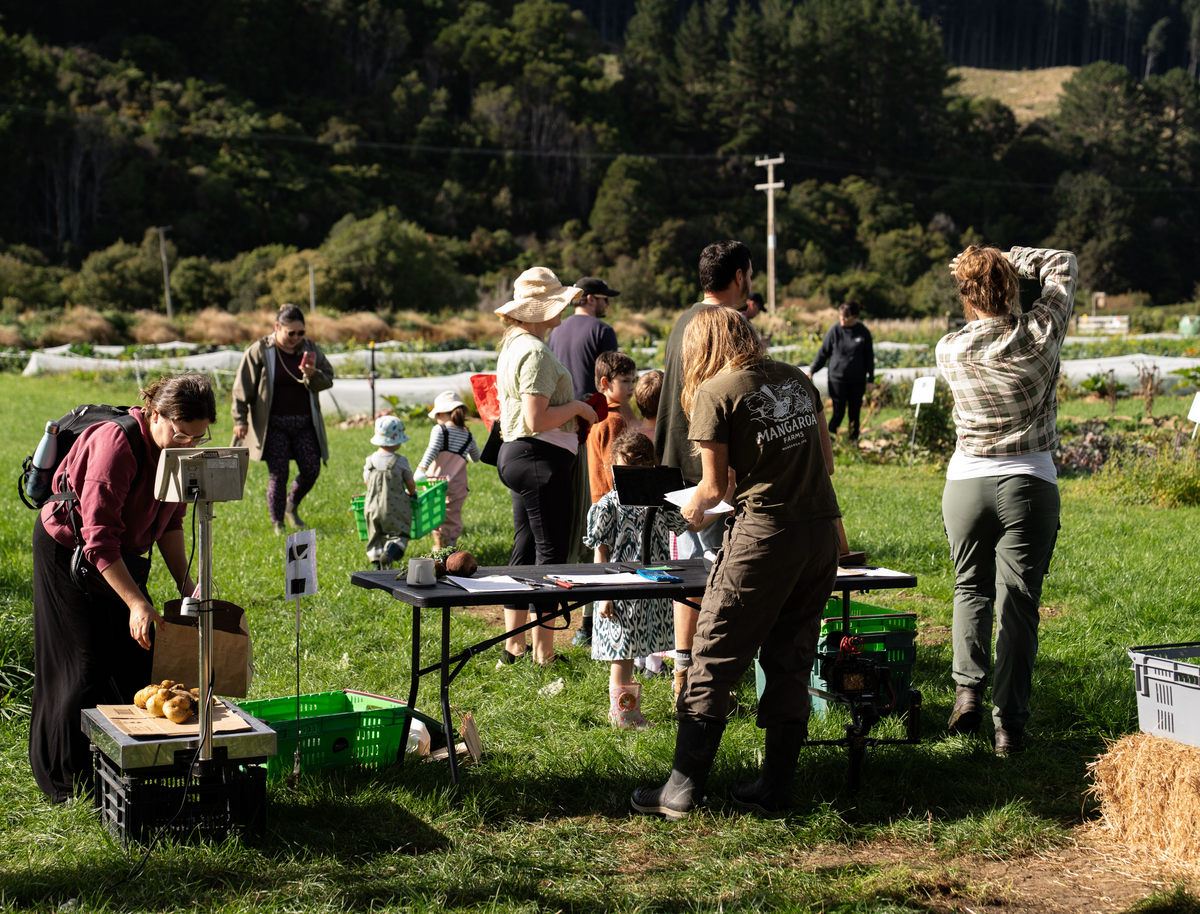 Pick Your Own Veges — Sat 3rd October | 9:00AM - 11:00AM
