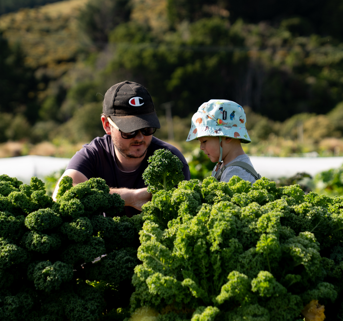 Pick Your Own Veges — Sat 3rd October | 9:00AM - 11:00AM