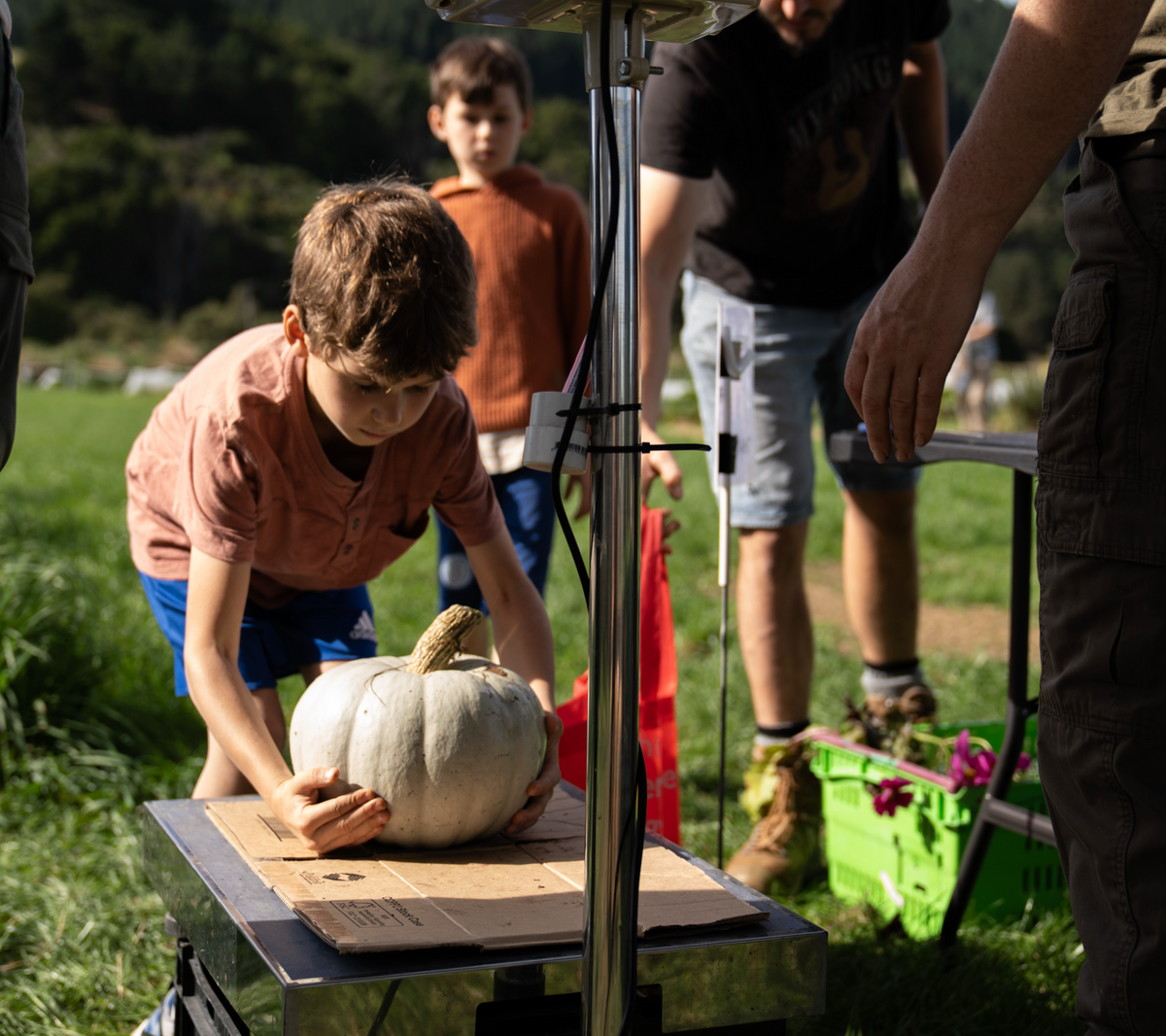 Pick Your Own Veges — Sat 3rd October | 9:00AM - 11:00AM