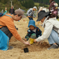 Tree Planting with Forest & Bird — Sat 6th September | 10AM - 3PM