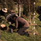 Tree Planting with Forest & Bird — Sat 6th September | 10AM - 3PM