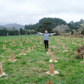 Tree Planting with Forest & Bird — Sat 6th September | 10AM - 3PM