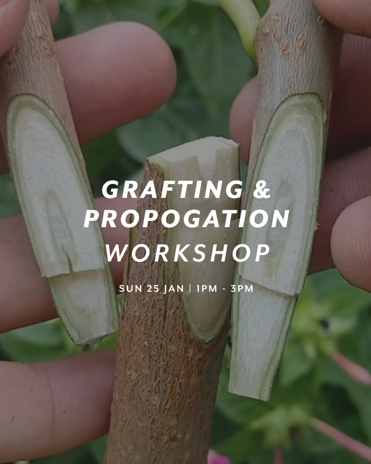 Grafting & Propagation Workshop — Sun 25th January | 1:00PM - 3:00PM