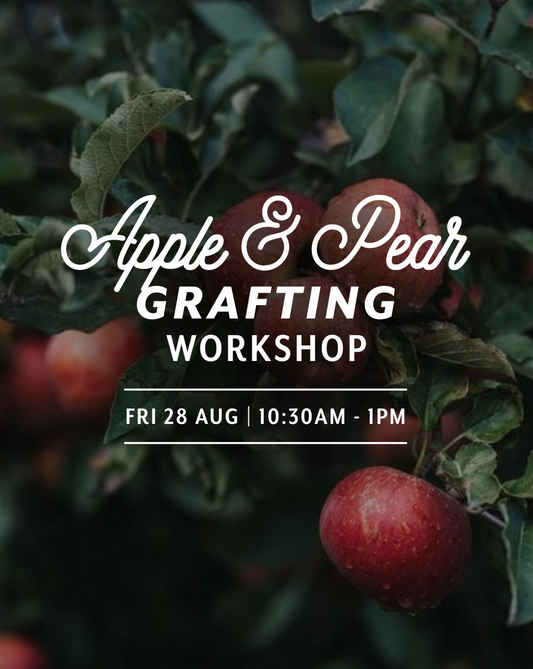 Apple and Pear Grafting Workshop — Fri 28th August | 10:30AM - 1:00PM