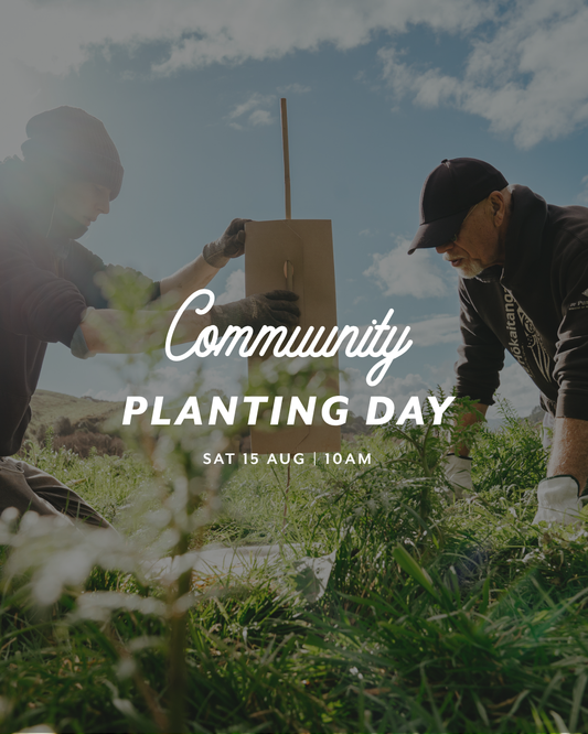 Community Planting Day — Sat 15th August | 10:00AM - 3:00PM