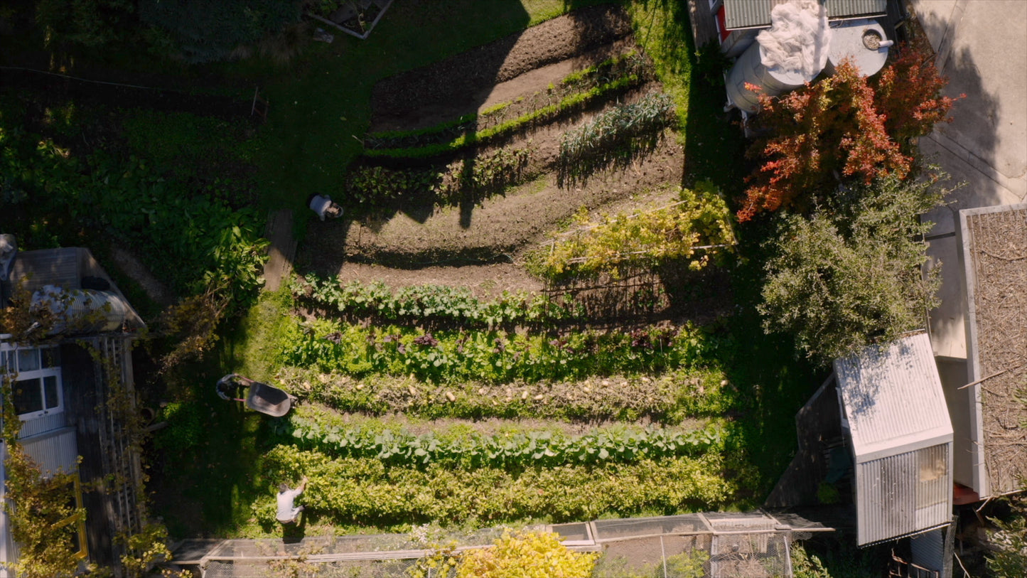 The New Peasants: Film Screening — Sat 22nd November | 7:00PM - 9:00PM