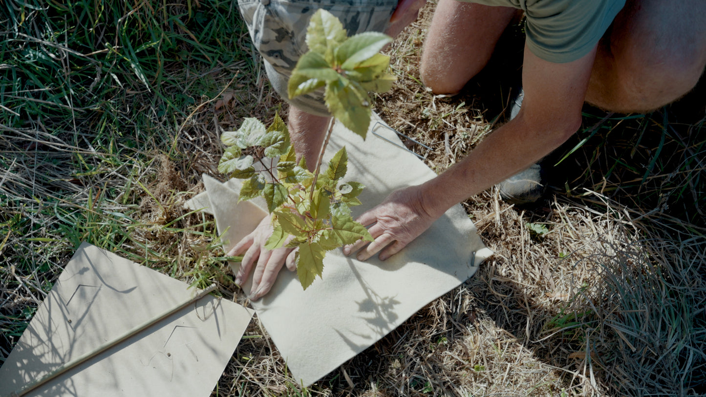 Community Planting Day — Sat 16th August | 10:00AM - 3:00PM