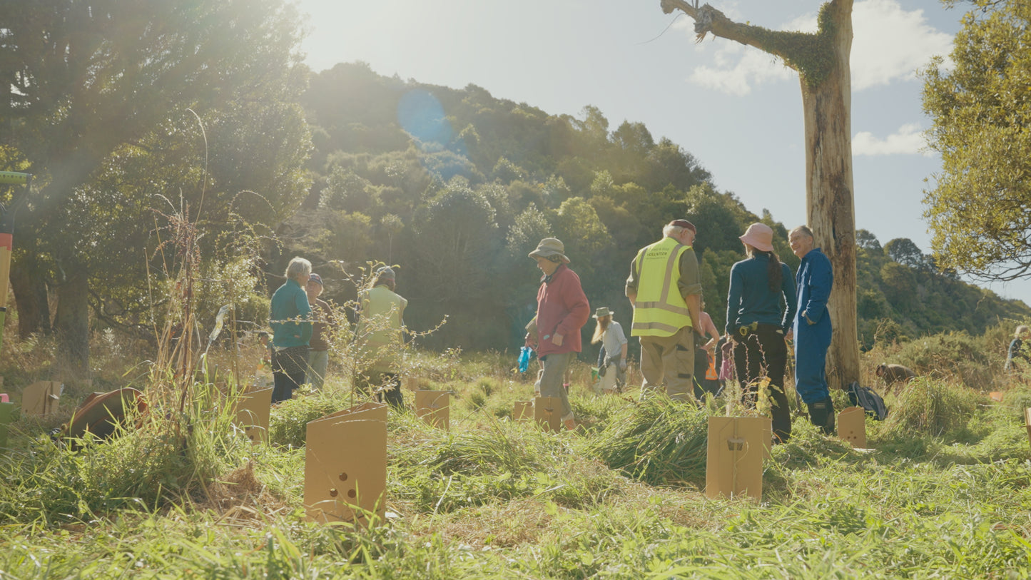 Community Planting Day — Sat 16th August | 10:00AM - 3:00PM