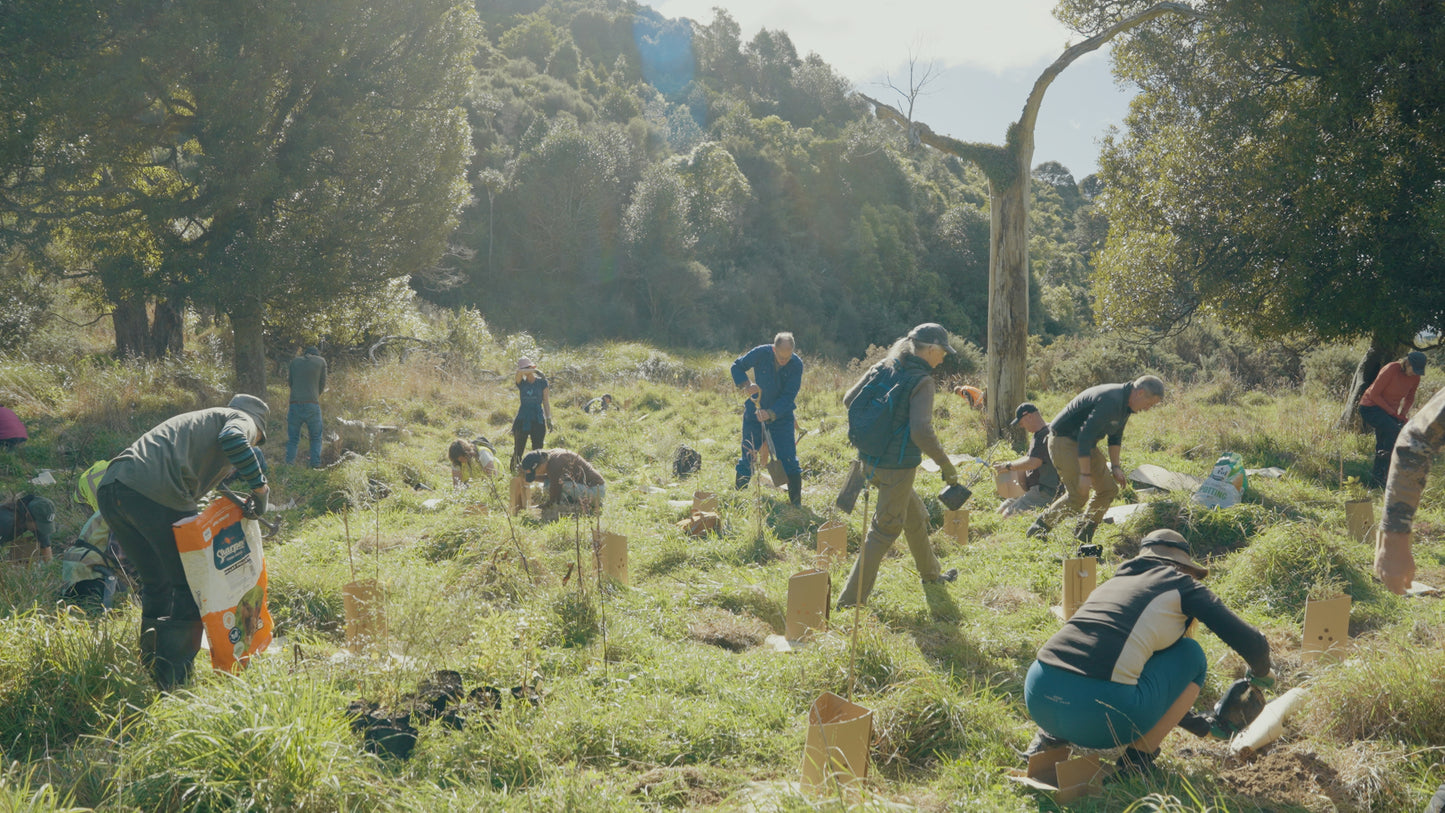 Community Planting Day — Sat 16th August | 10:00AM - 3:00PM