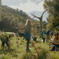 Tree Planting with Forest & Bird — Sat 6th September | 10AM - 3PM
