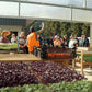 Regenerative Garden Tour — Tue 9th September | 9AM - 10AM