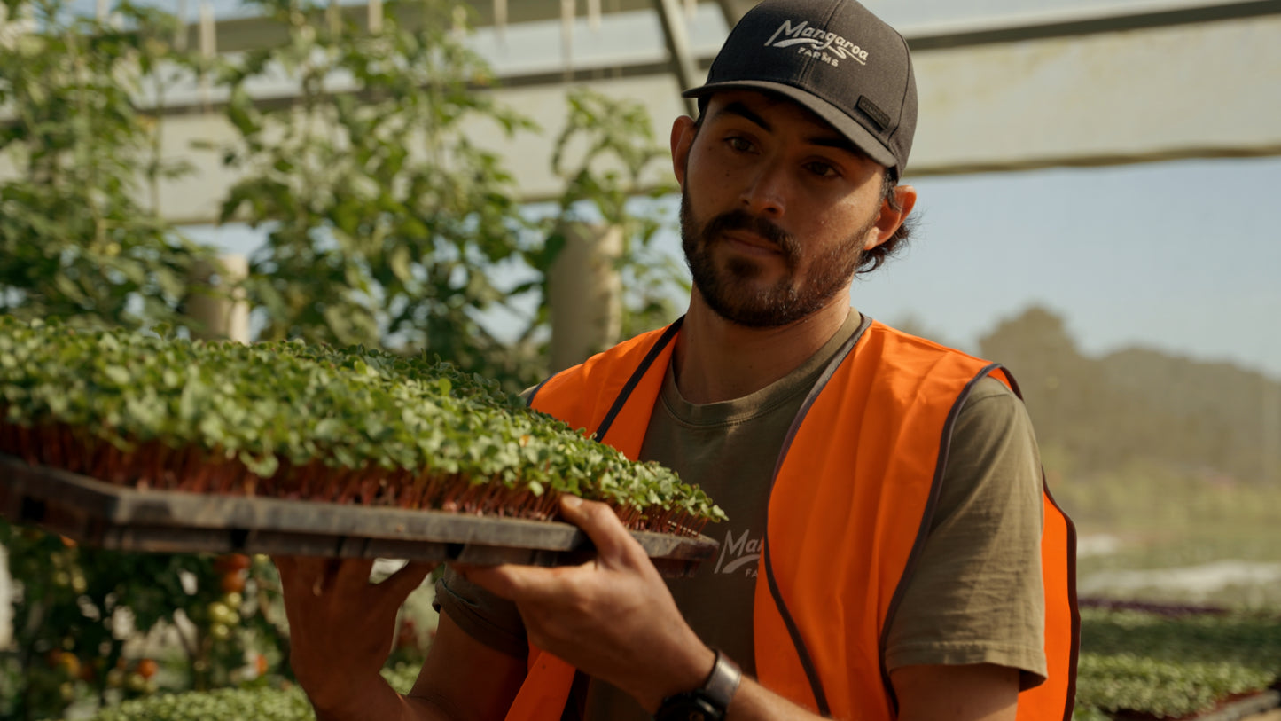 From Garden to Grill — Fri 12th December | 11:30AM - 2:00PM