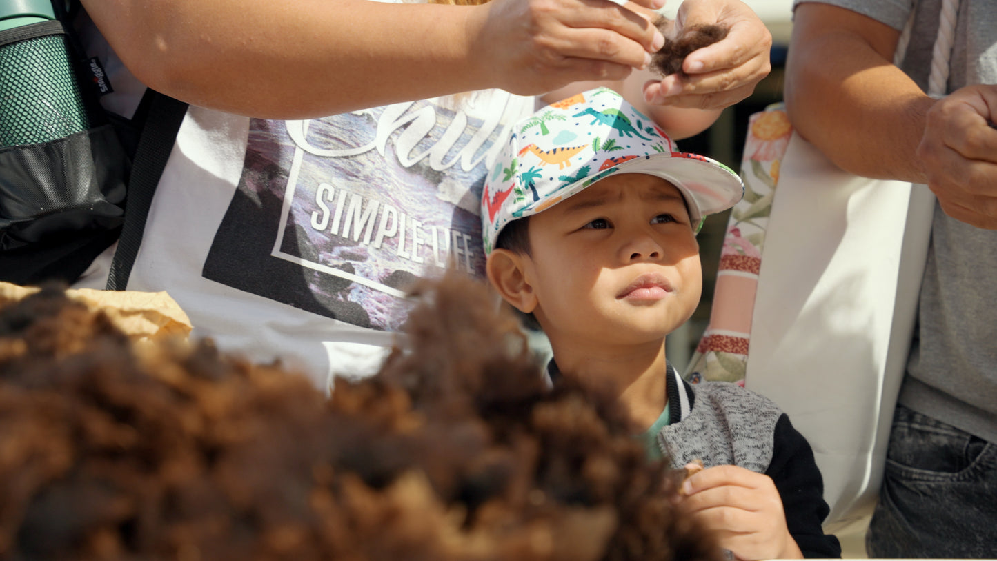 Mangaroa Farms Harvest Festival — Sat 21st March | 10:00AM - 3:00PM