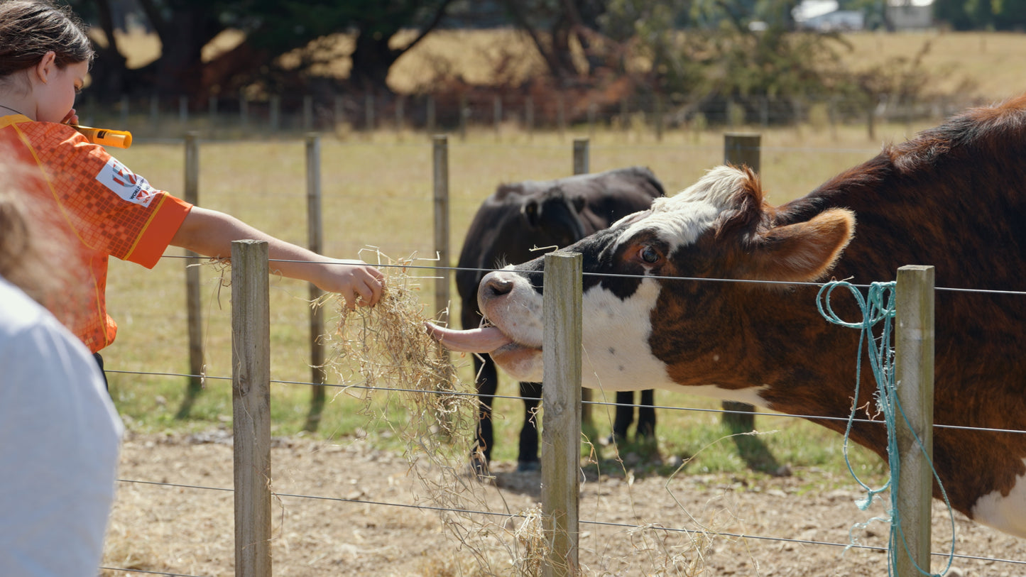 Mangaroa Farms Harvest Festival — Sat 21st March | 10:00AM - 3:00PM