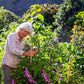 Designing Your Next Permaculture Project — Sat 7th November | 2:00PM - 5:00PM