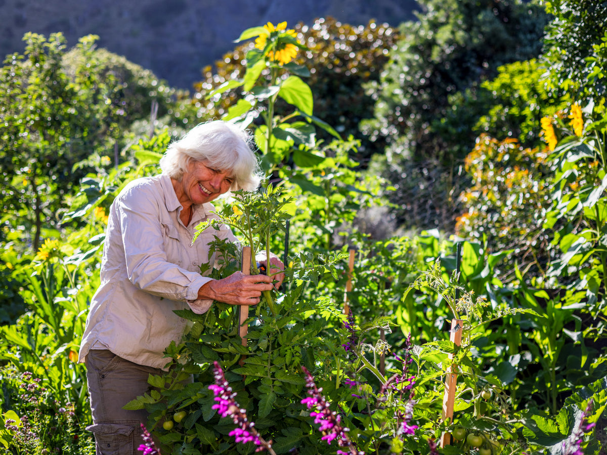 Designing Your Next Permaculture Project — Sat 7th November | 2:00PM - 5:00PM