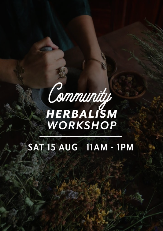Community Herbalism with Earth School — Sat 15th August | 11:00AM - 1:00PM