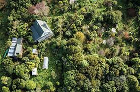 Food Foresting: Film Screening — Wed 10th December| 7:00PM - 9:00PM