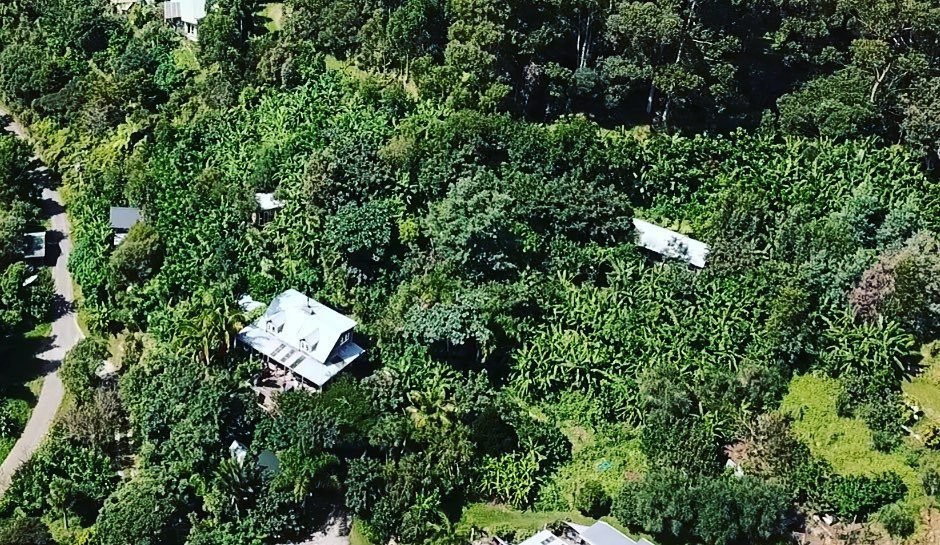 Food Foresting: Film Screening — Wed 10th December| 7:00PM - 9:00PM