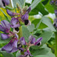 Growing Together - Home Composting and Soil Life - Nature Workshops for the Whole Family