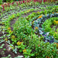 Permaculture for People and Place - S.E.E.D (Soil. Environment. Elements. Discovery)