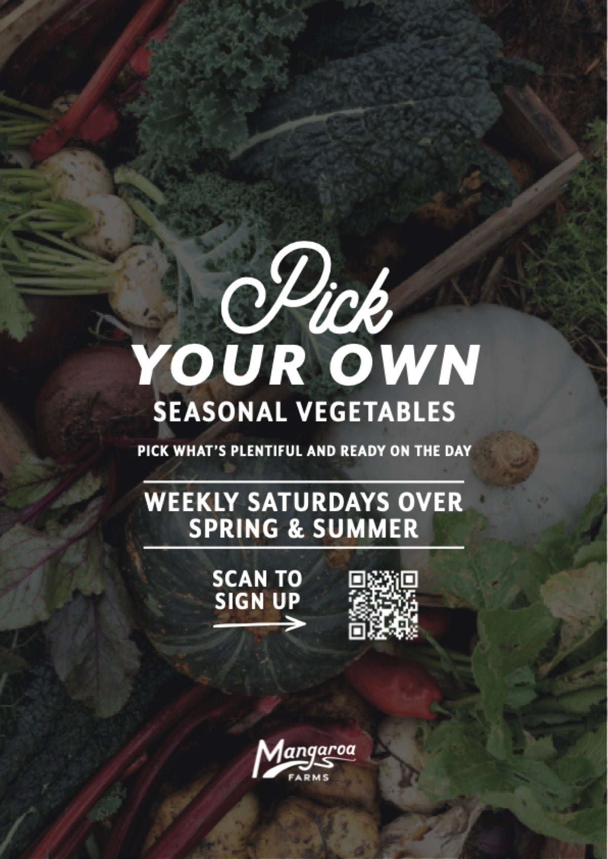 Pick Your Own seasonal vegetables - weekly Saturdays over spring and summer at Mangaroa Farms
