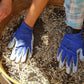 Permaculture for People and Place - S.E.E.D (Soil. Environment. Elements. Discovery)